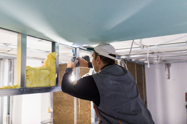 Best Eco-Friendly Insulation in Fort Valley, AZ