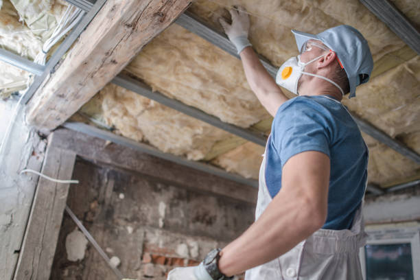 Best Insulation Maintenance and Repair in Fort Valley, AZ