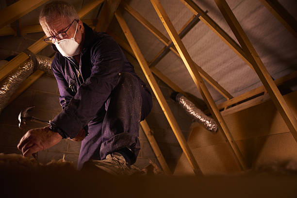 Best Specialized Insulation Services in Fort Valley, AZ