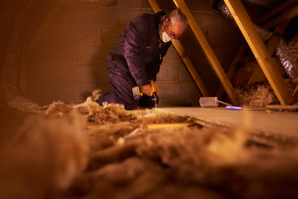 Best Commercial Insulation in Fort Valley, AZ